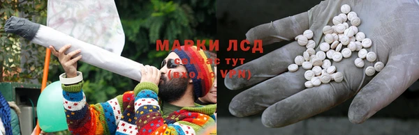 индика Новодвинск