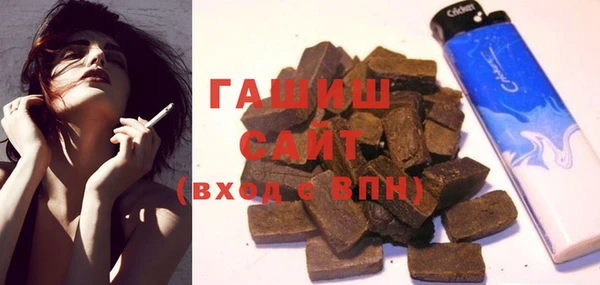 индика Новодвинск