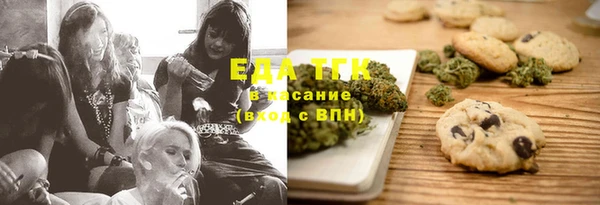 индика Новодвинск