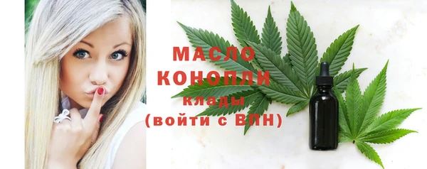 индика Новодвинск