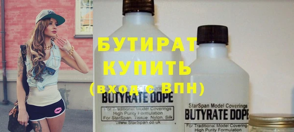 индика Новодвинск