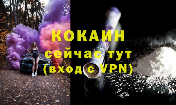 индика Новодвинск