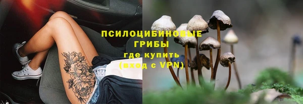 молекула духа Новокубанск