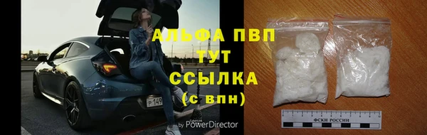 прущий лед Нея