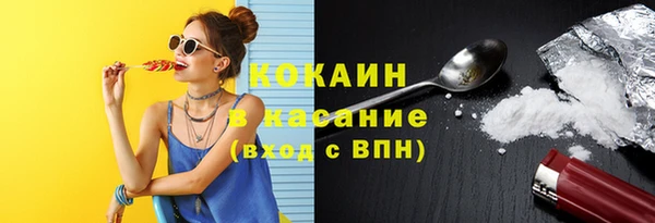 индика Новодвинск