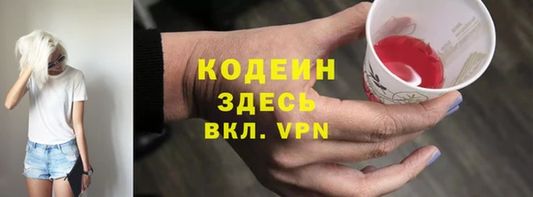 индика Новодвинск