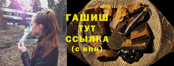 индика Новодвинск