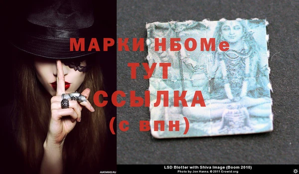 индика Новодвинск
