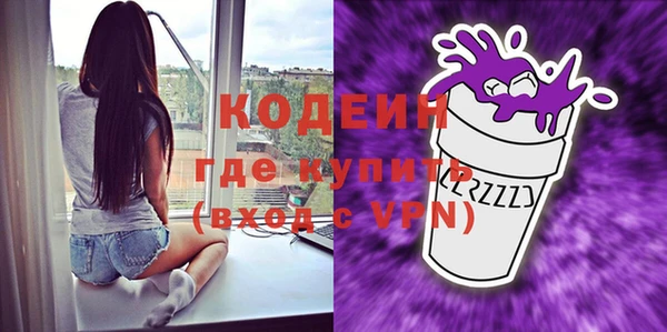 индика Новодвинск