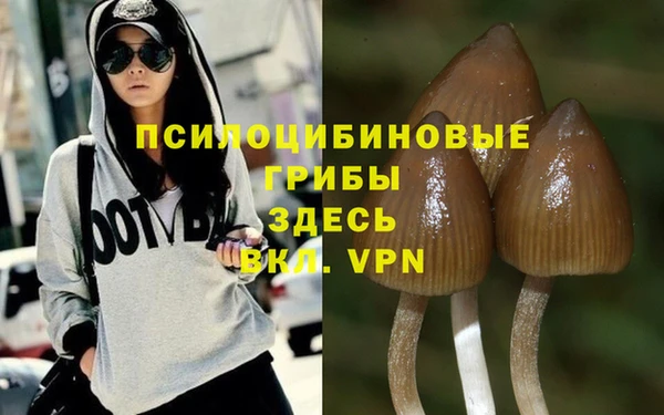 a pvp Нефтегорск