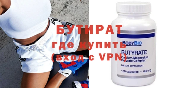 индика Новодвинск