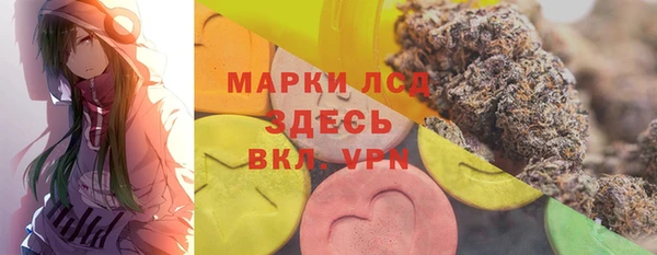 индика Новодвинск