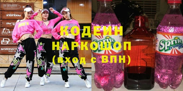 индика Новодвинск