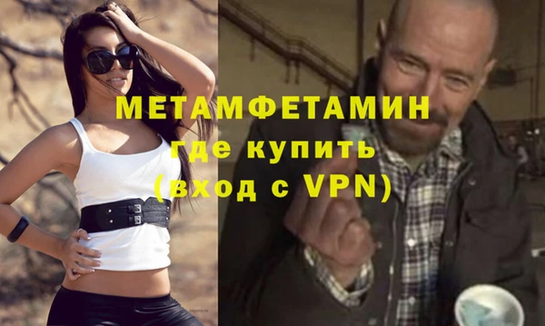 индика Новодвинск