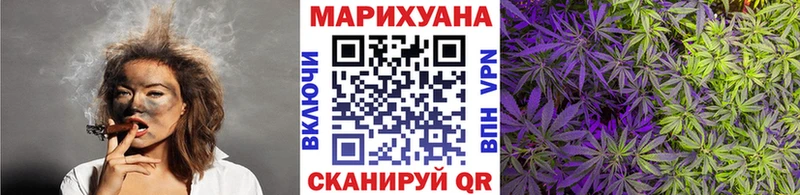 Бошки марихуана конопля  продажа наркотиков  Андреаполь 